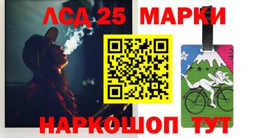 мдпв Гай