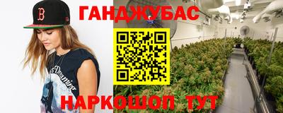 мдпв Гай
