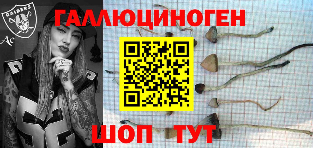 Нурлат  Галлюциногенные грибы GOLDEN TEACHER  где купить наркоту  Вход с VPN 